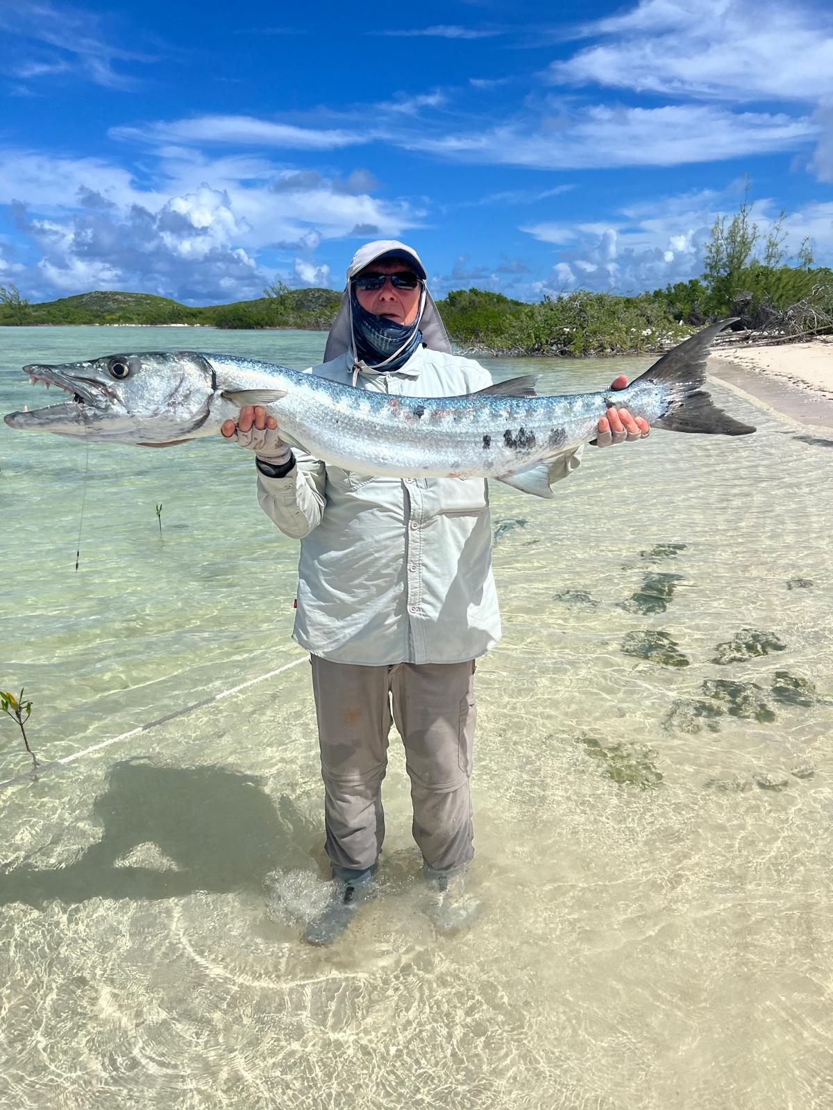 WhatsApp Image 2024-04-23 at 10.59.41 (1) 34lbs Barracuda on Sand Dollar Flat Middle Caicos on a top water popper plug